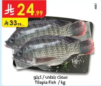 سمك بلطي كيلو