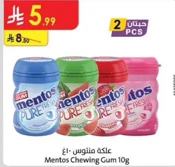Mentor Chewing Gum 10g