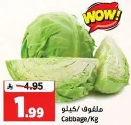 ملفوف / كيلو