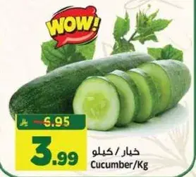 خيار / كيلو