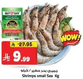 جمري بحر صغير كيلو