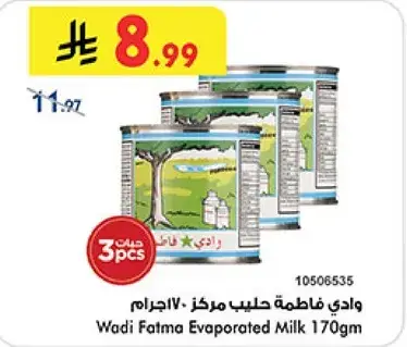 Wadi Fatma Evaporated Milk 170gm