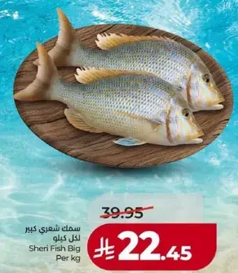 سمك شعري كبير لكل كيلو
