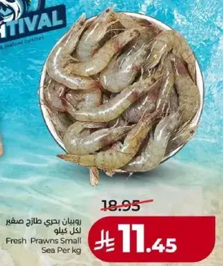 روبيان بحري طازج صغير لكل كيلو