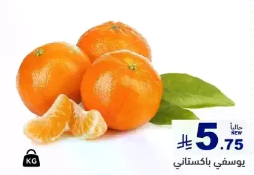Pakistani Oranges