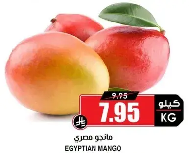 مانجو مصري