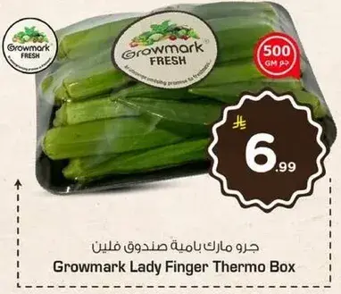 جره مارك باميه صندوق فليتن