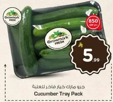 صندوق خيار