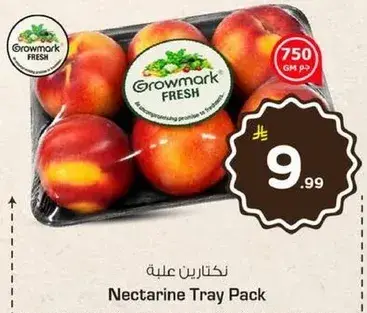 Nectarine Tray Pack