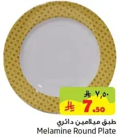 طبق دايري ميلامين