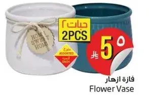 Flower Vase set of 2 assorted colors.