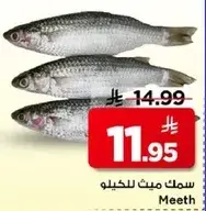 سمك ميث