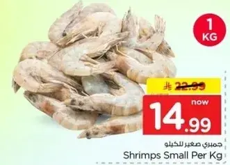 جمبري صغير للكيلو