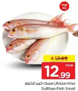سراه سلطان سمك كبير للكيلو