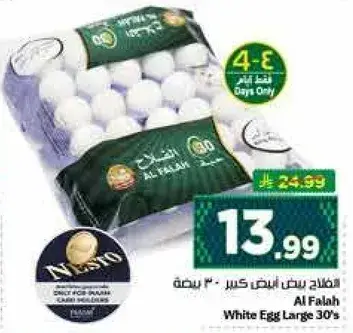 Al Falah White Egg Large 30's