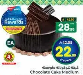 Chocolate Cake Medium