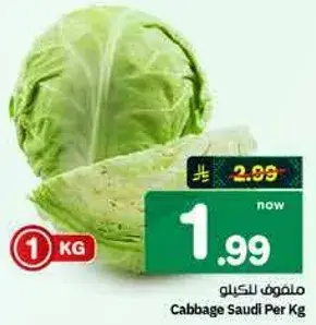 Cabbage Saudi Per Kg