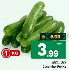 خيار للكيلو