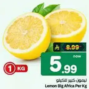 ليمون كبير افريقيا للكيو