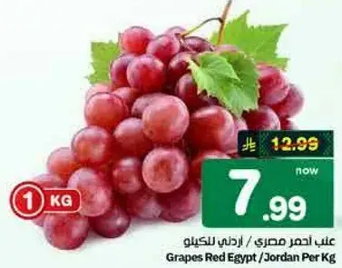 عنب احمر مصري / اردني للكيو