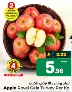 Royal Gala Turkey Apple Per Kg