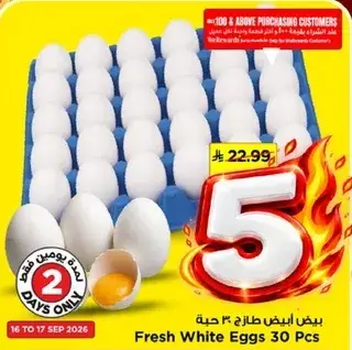 Fresh White Eggs 30 Pcs