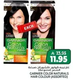 Garnier Color Naturals Hair Colour (Assorted).