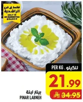 لبنه بينار