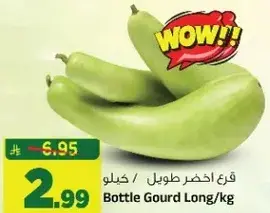 قرع اخضر طويل / كيلو