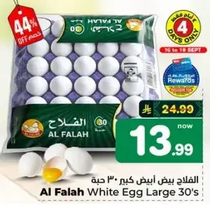 Al Falah White Egg Large 30's