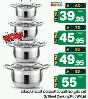 Stainless Steel Cooking Pot with Lid