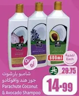 شامبو باراشوت جوز هند وافوكادو 600 مل