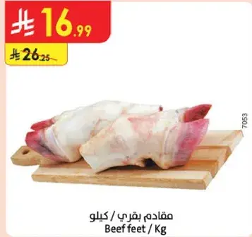 مقدمات بقري.
