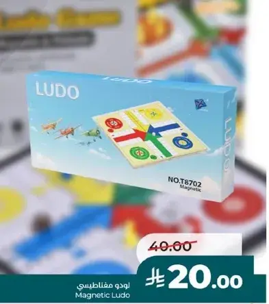 Magnetic Ludo