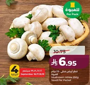 فطر ابيض سعودي 250 جرام