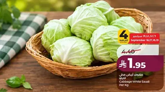 ملفوف ابيض سعودي