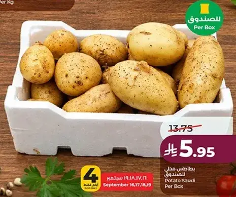 Potato Saudi Per Box