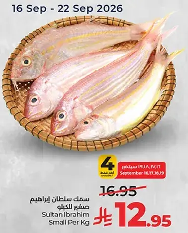 سمك سلطان ابراهيم صغير للكيلو