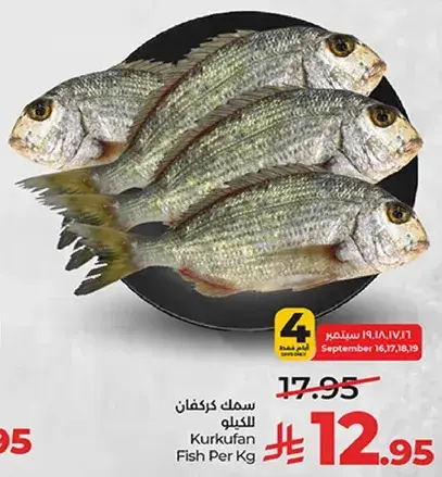 سمك كركفان للكيلو
