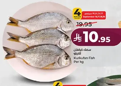 سمك كركوفان للكيلو