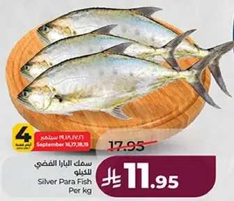 سمك بارا الفضي للكيلو