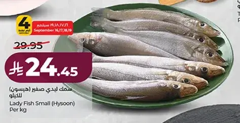 سمك ليدي صغير (هيصون) للكيلو