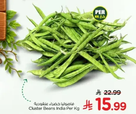 فاصوليا خضراء علفوديه Per Kg