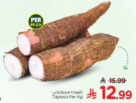تابيوكا Per Kg