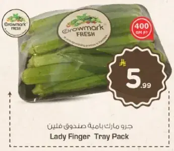 علبه باميه صندوق فليت