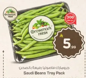 Saudi Beans Tray Pack