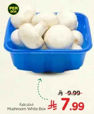 Mushroom White Box