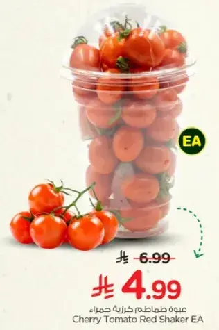 Cherry Tomato Red Shaker EA