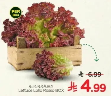 Lettuce Lollo Rosso BOX