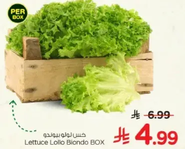 Lettuce Lollo Biondo BOX